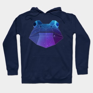 Galaxy Frog Geometric Animal Hoodie